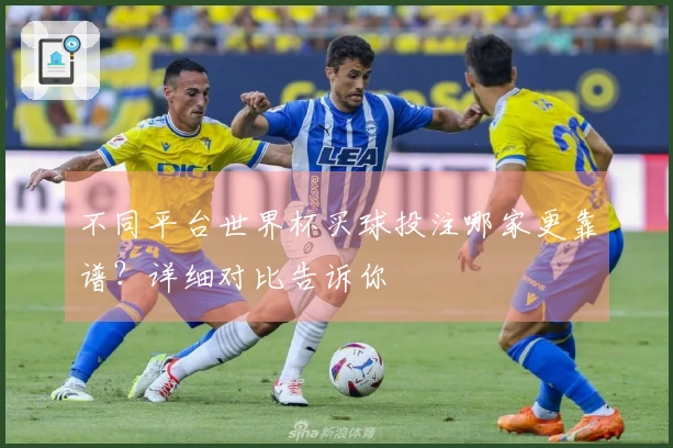 不同平台世界杯买球投注哪家更靠谱？详细对比告诉你