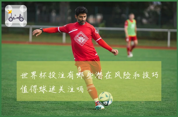 世界杯投注有哪些潜在风险和技巧值得球迷关注吗