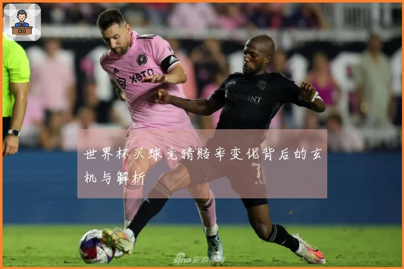 世界杯买球竞猜赔率变化背后的玄机与解析