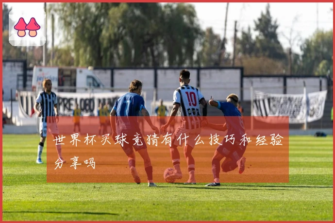 世界杯买球竞猜有什么技巧和经验分享吗