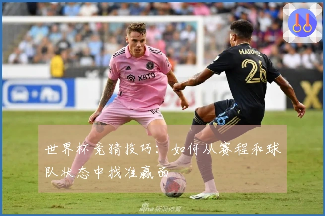 世界杯竞猜技巧:如何从赛程和球队状态中找准赢面